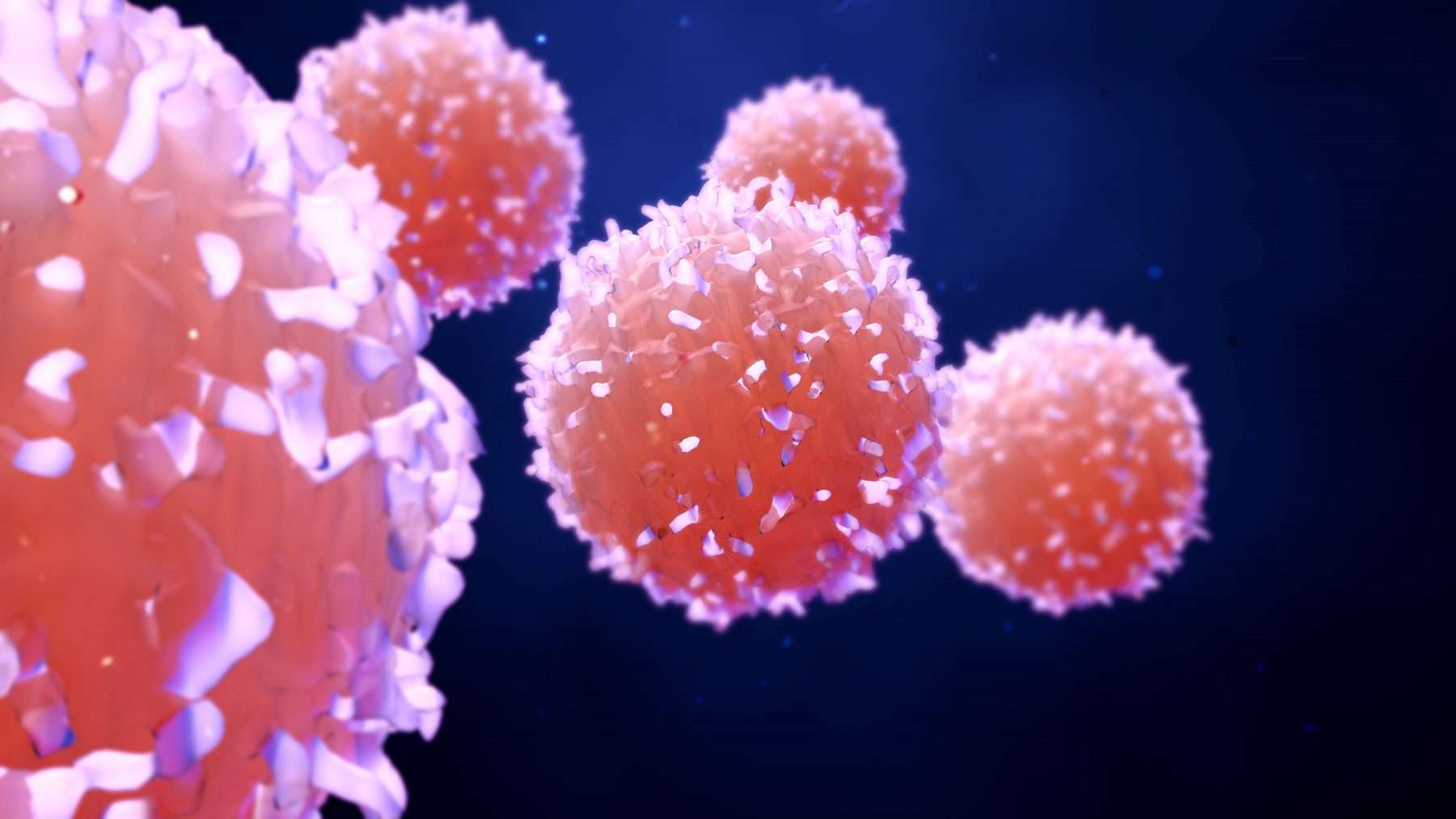 Cellular Immunology